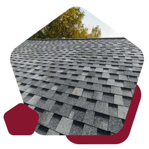 A close-up of a residential roof covered in textured, multi-toned gray asphalt shingles with trees visible at the top.