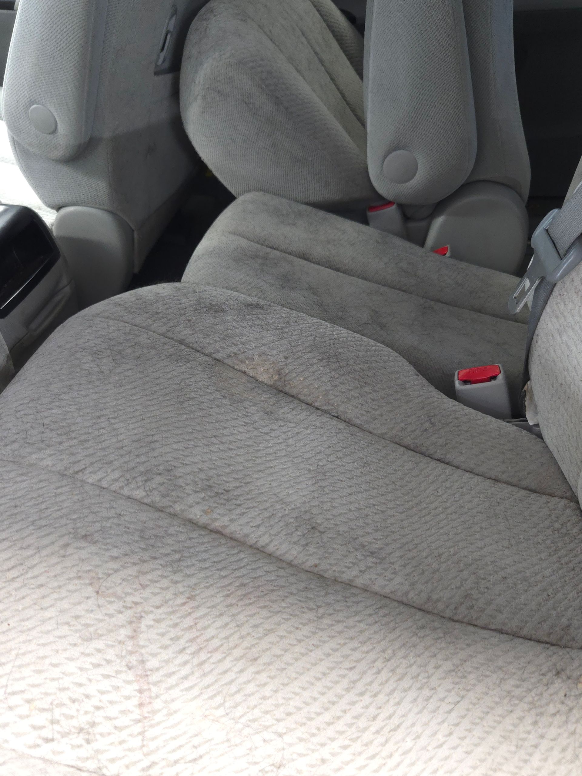Gray fabric car seats with red seatbelts.