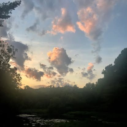 Sunset over the pond