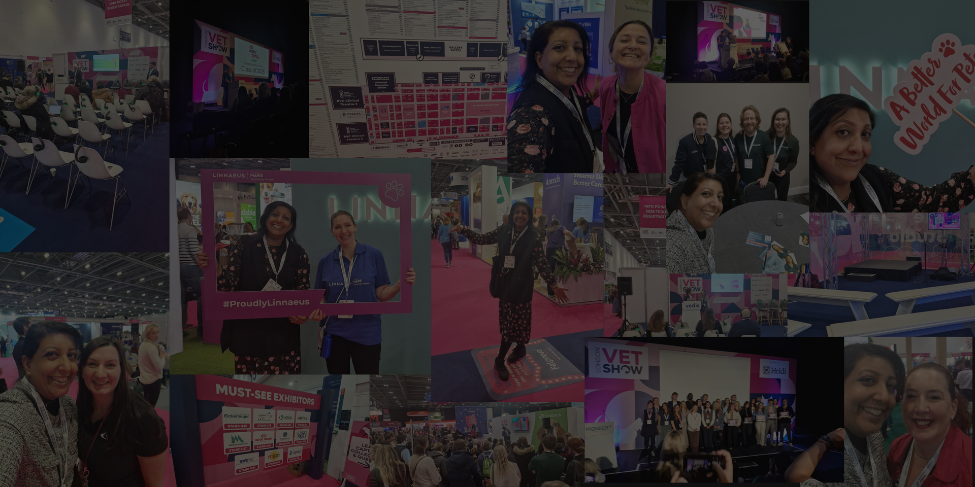A collage of photos featuring groups of professional individuals attending a conference, including smiling and posing.