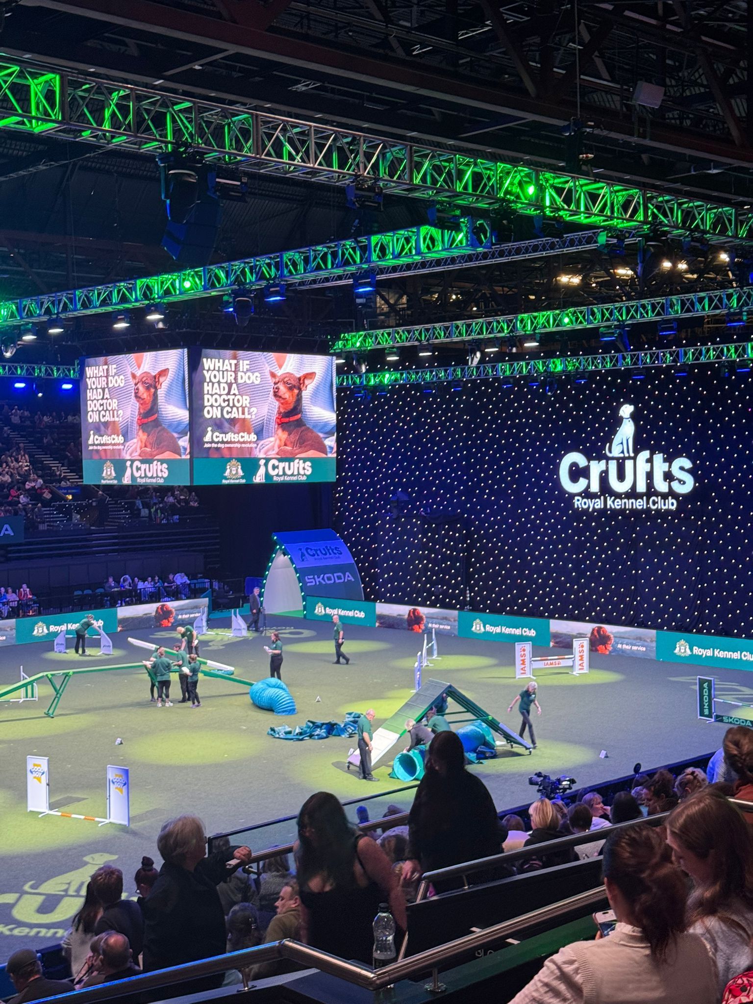 The Crufts dog show arena, featuring an agility course with tunnels and ramps, illuminated by green overhead lights.