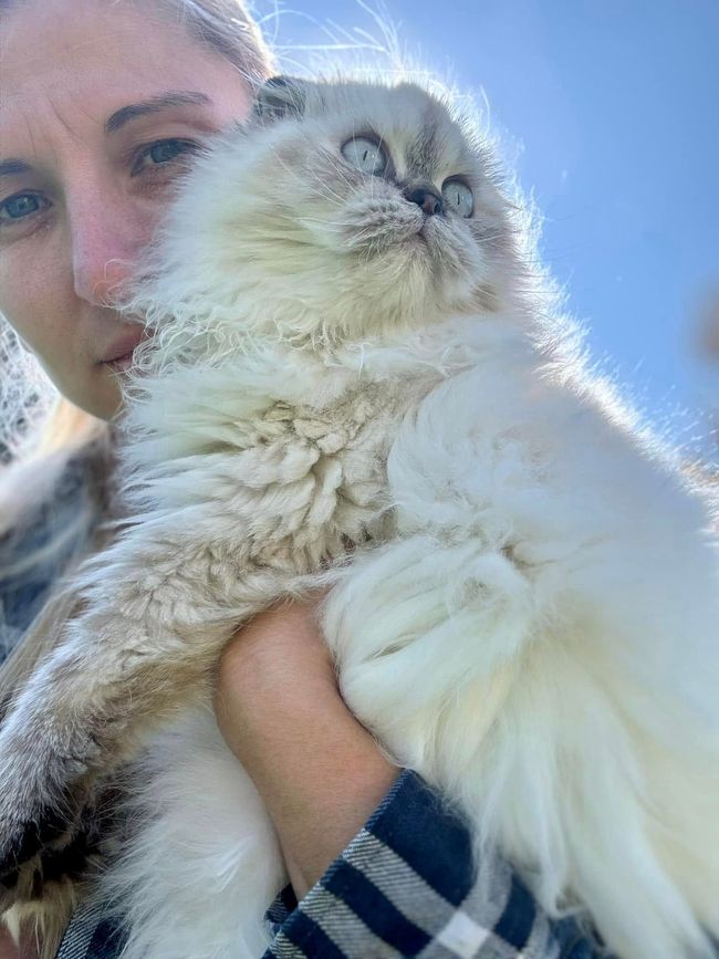 A woman is holding a fluffy white cat in her arms.