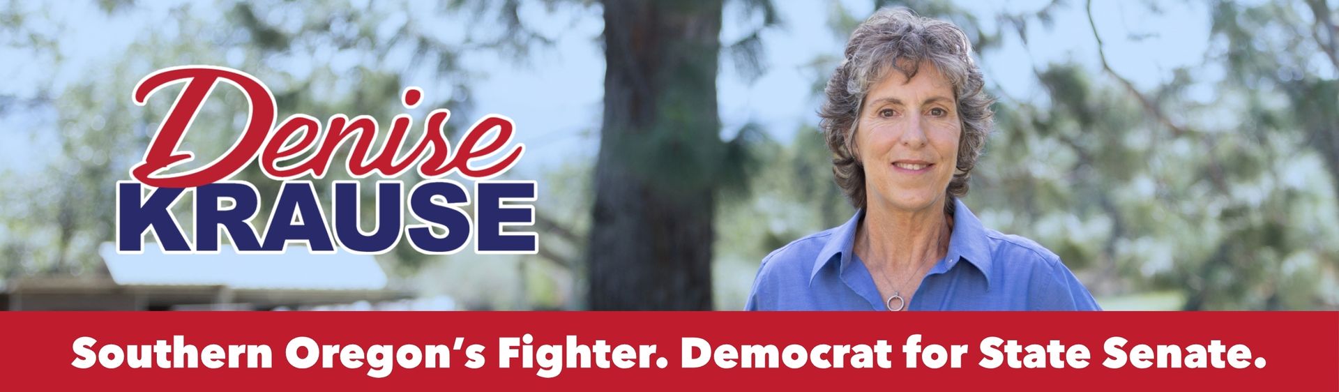 Denise Krause, State Senate candidate, smiling, wearing a blazer, with mountains and sunset background.