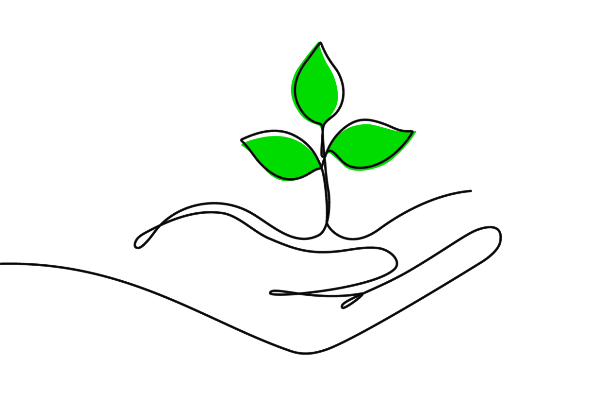 A hand is holding a small plant with green leaves.