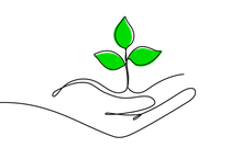 A hand is holding a small plant with green leaves.