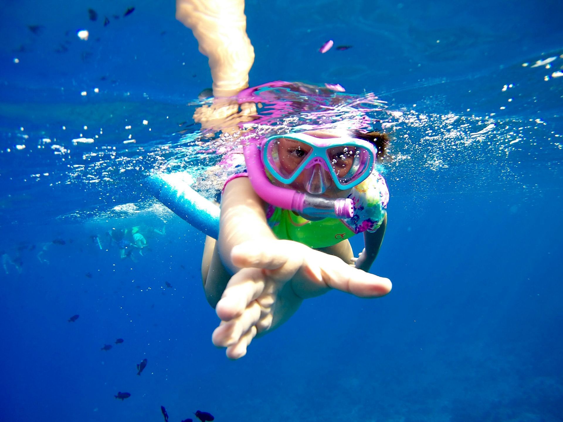 A person wearing a mask is swimming in the ocean