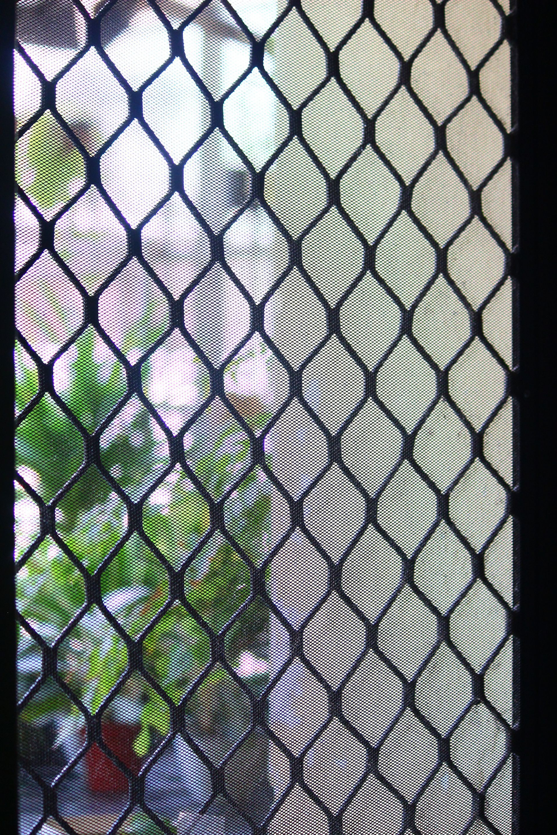 Close view of a security screen door from inside Close view of a security screen door from inside