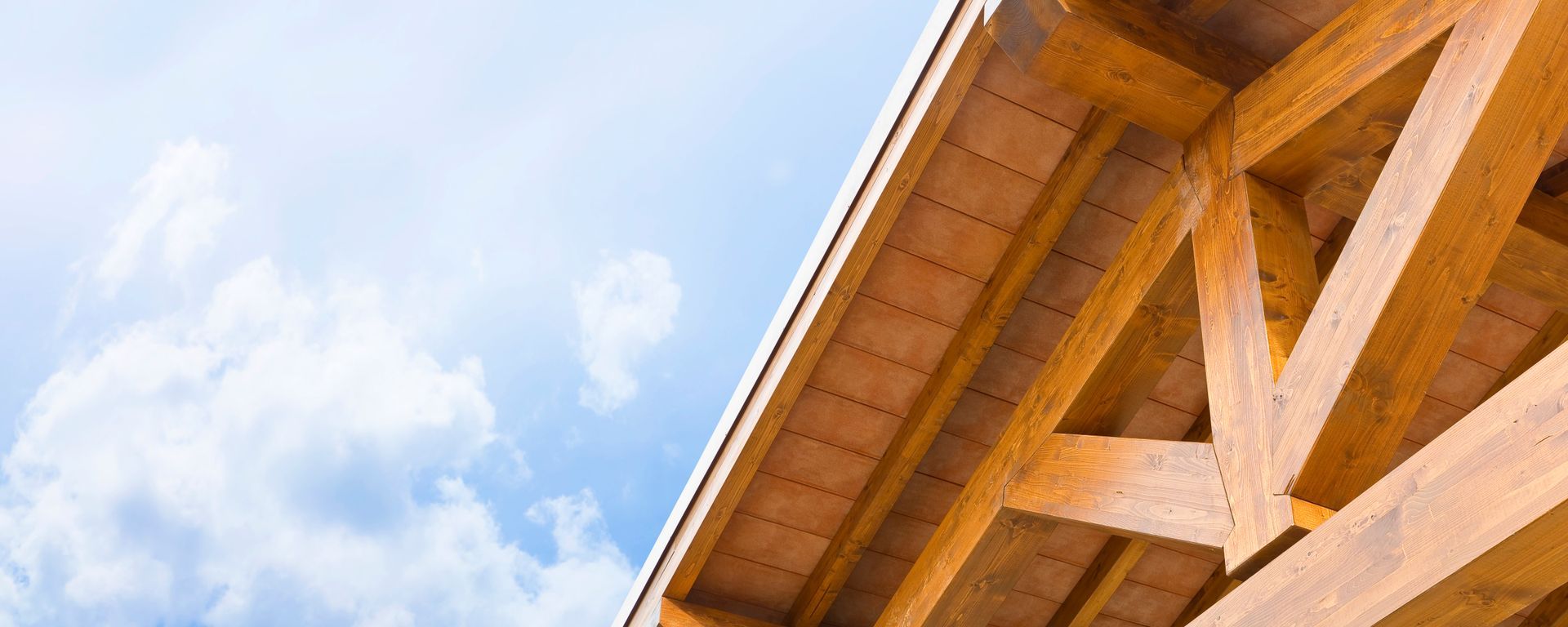 tettoie in legno