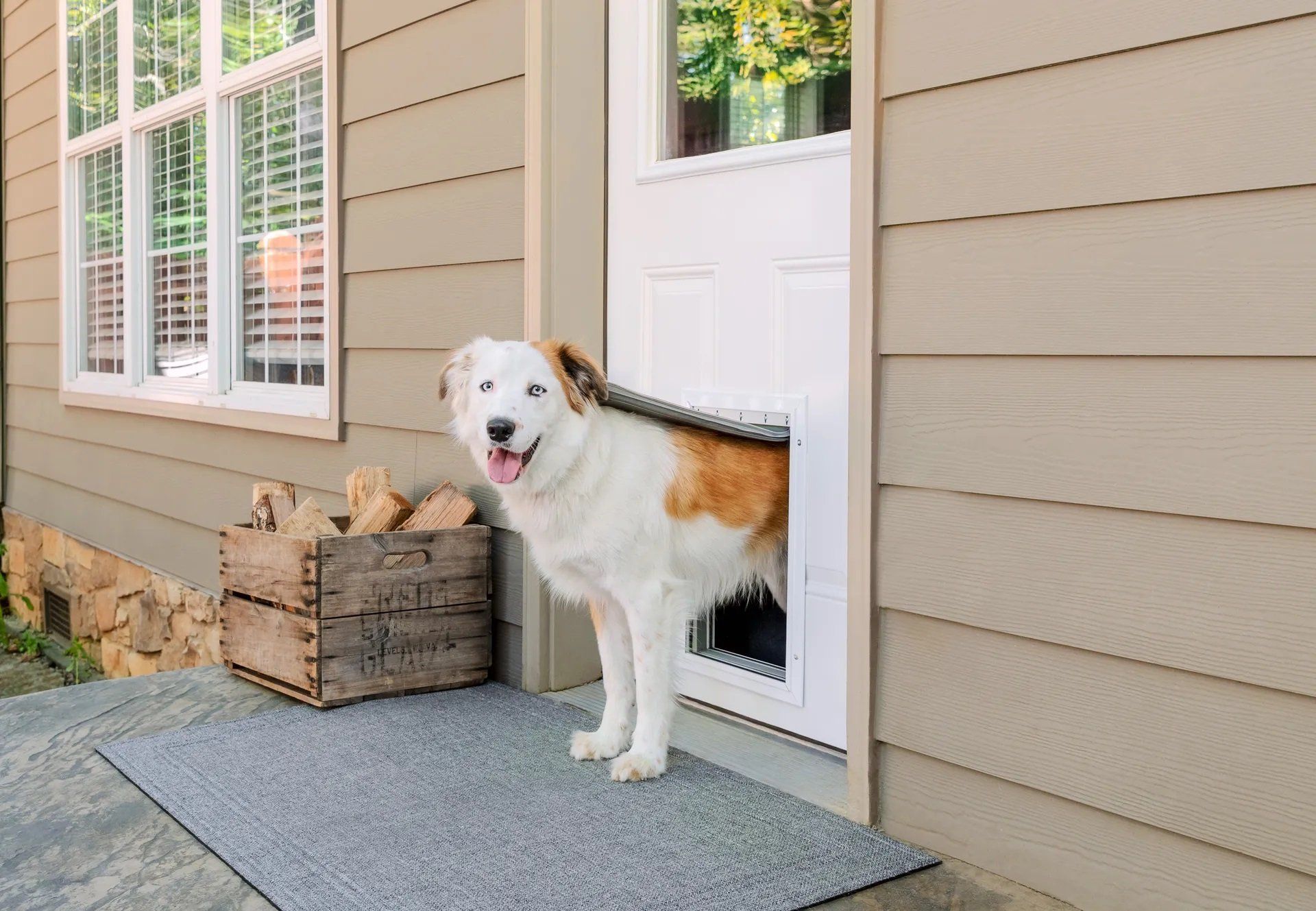 Dog using a professionally installed pet door by A1 Handyman Boise, ID
