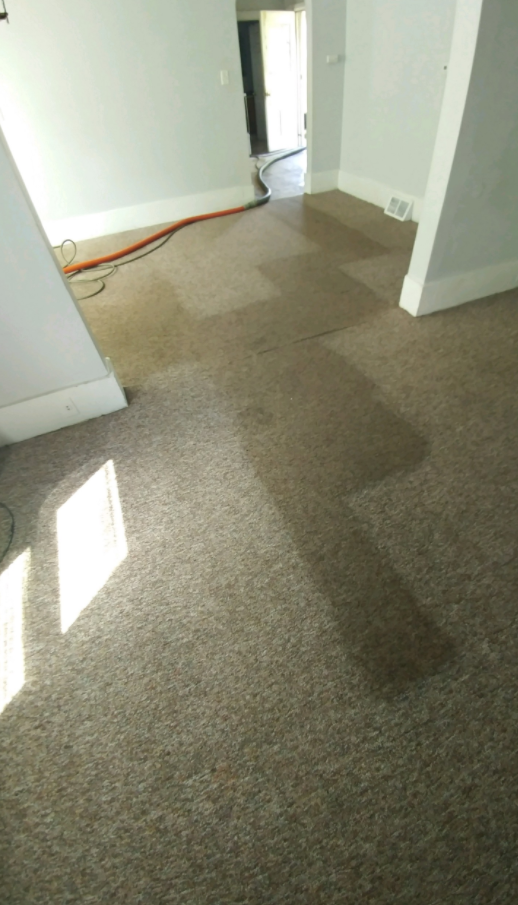Rug Cleaning - La Crosse, WI - D & K Carpet Cleaning