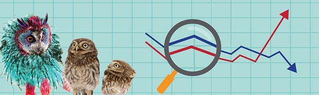 Three owls are standing next to each other in front of a graph and a magnifying glass.