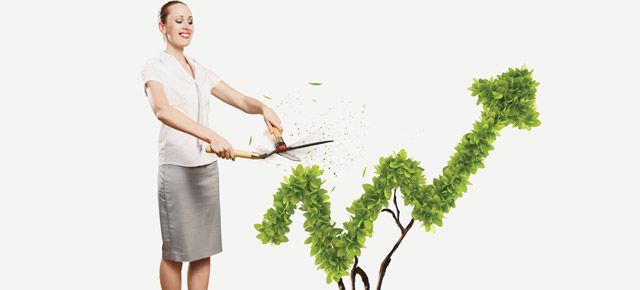 A woman is cutting a tree in the shape of an arrow.