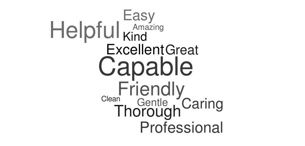 A word cloud with the words helpful kind excellent great capable friendly gentle caring thorough professional