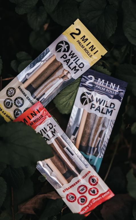 Assorted Wild Palm mini makeup brushes in pink, gold, and black packaging on a dark leafy background
