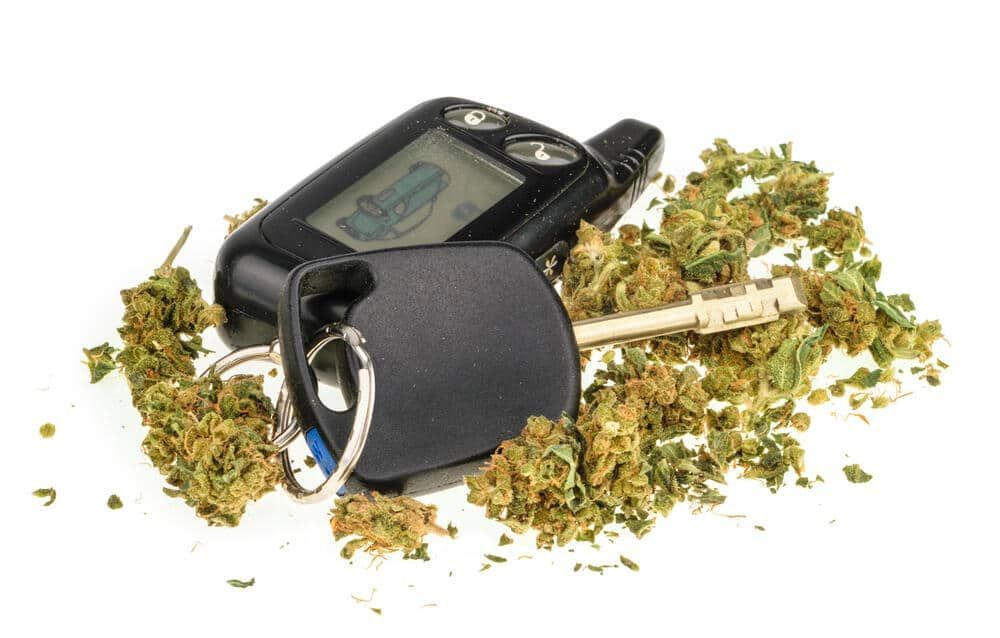 cannabis