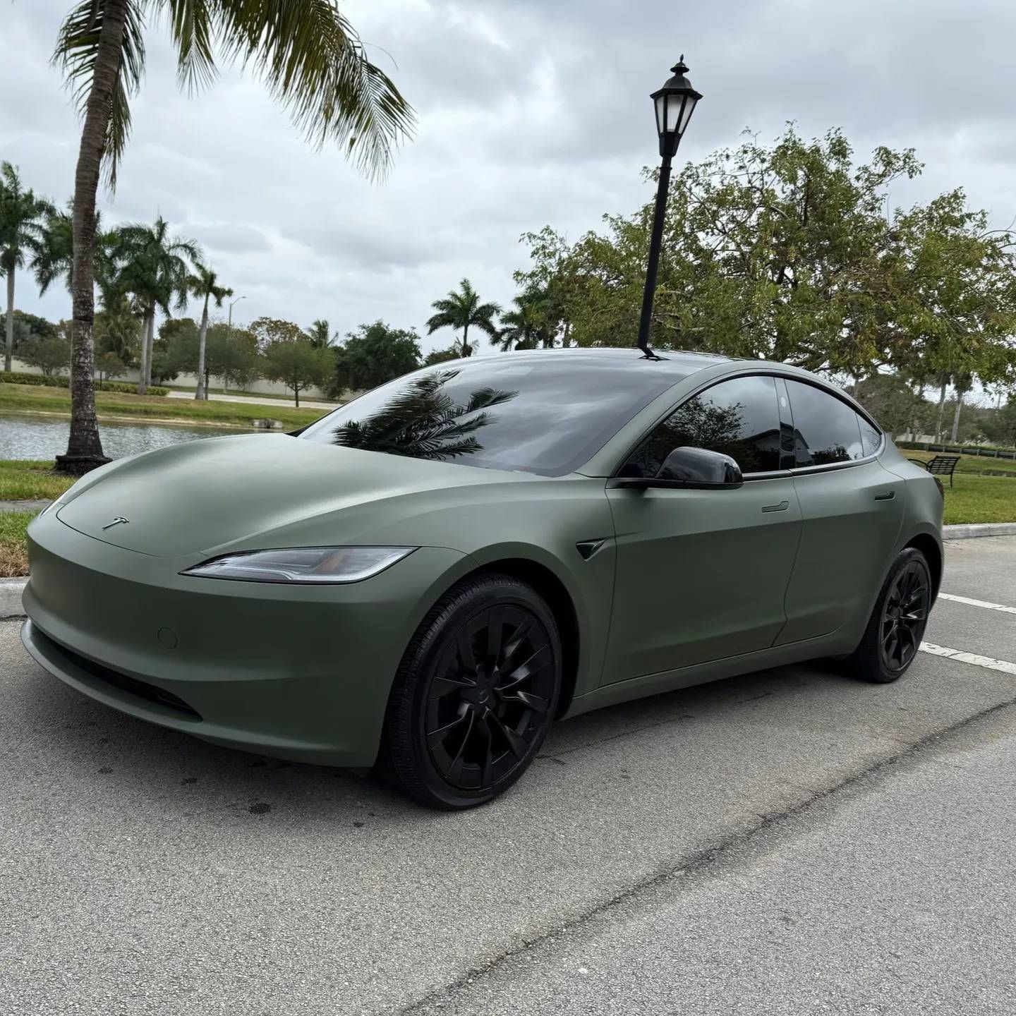Matte green Tesla sedan parked on a road beside palm trees and water on a cloudy day