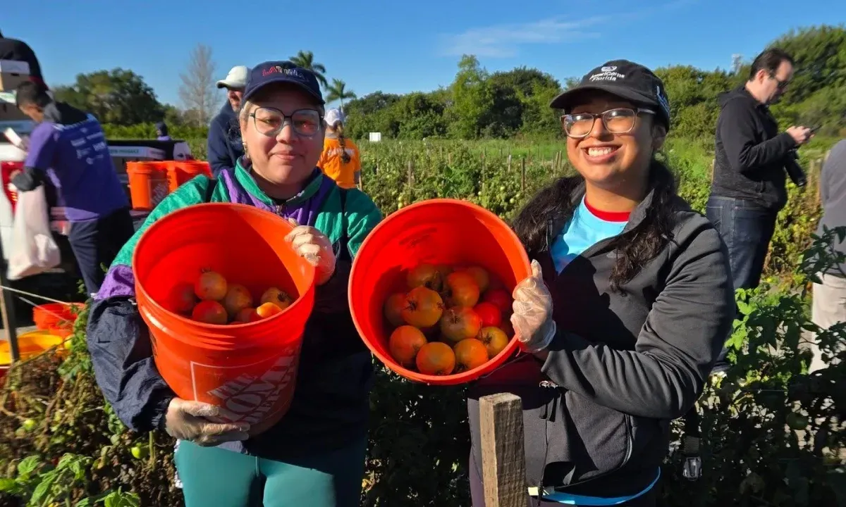 Volunteers in the field holding lettuce.