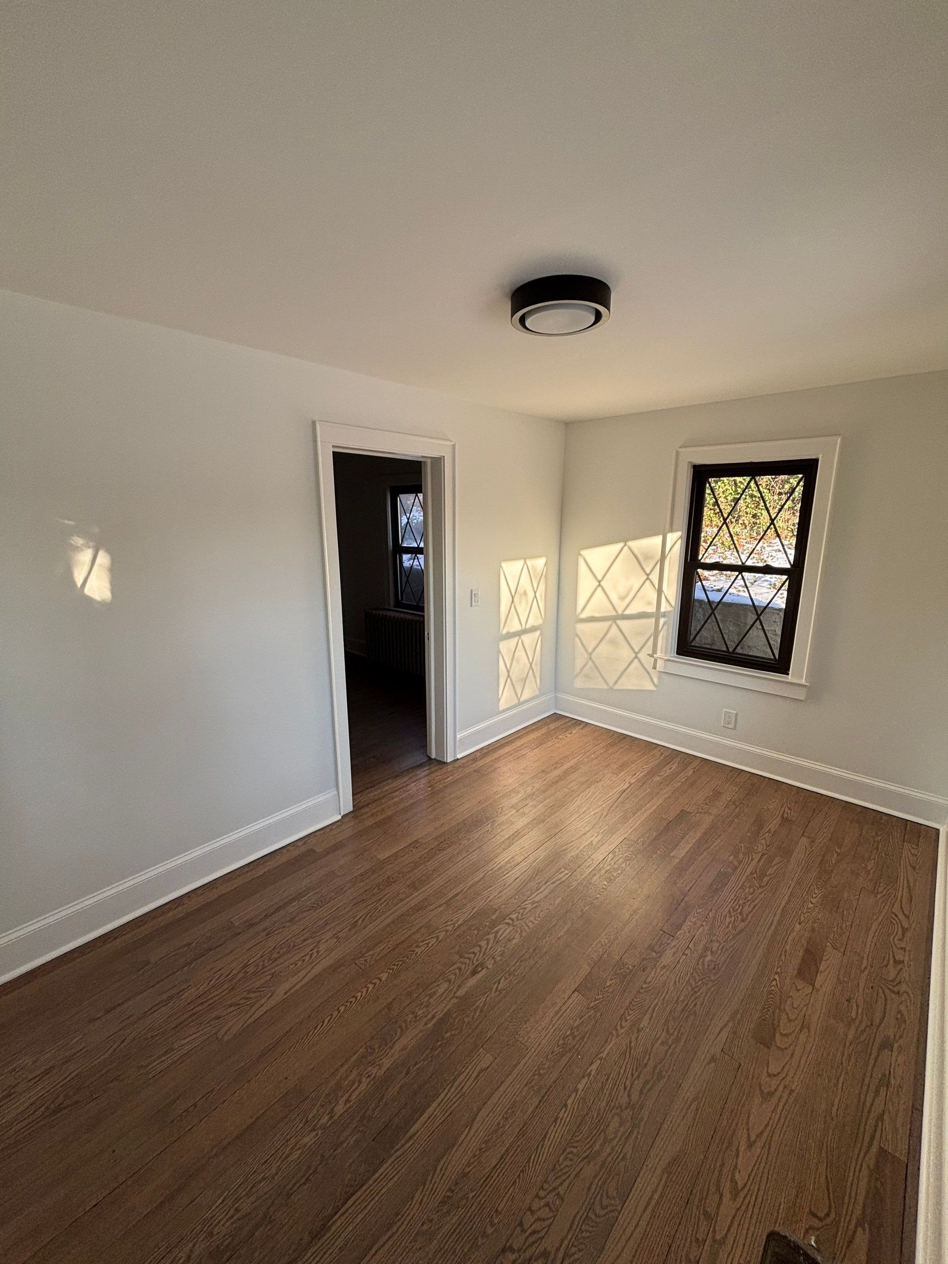 Empty room with wood floors, white walls, black-framed window and door. Ceiling light.