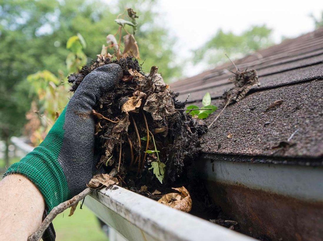 Gloved hand cleaning a gutter filled with leaves, twigs, and dirt on a brown shingled roof.
