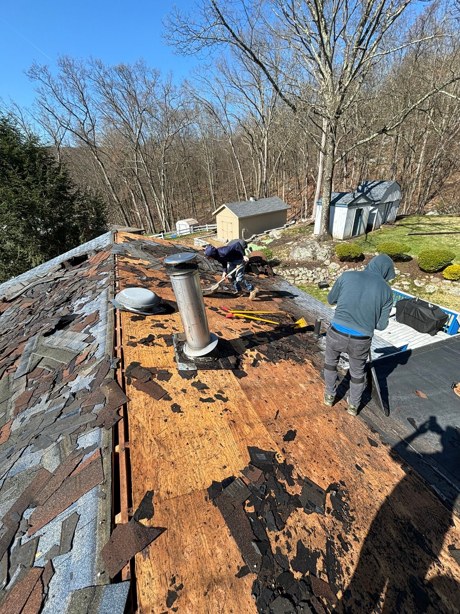 Two roofers on a rooftop removing old shingles. Sunny day with trees and buildings in the background.