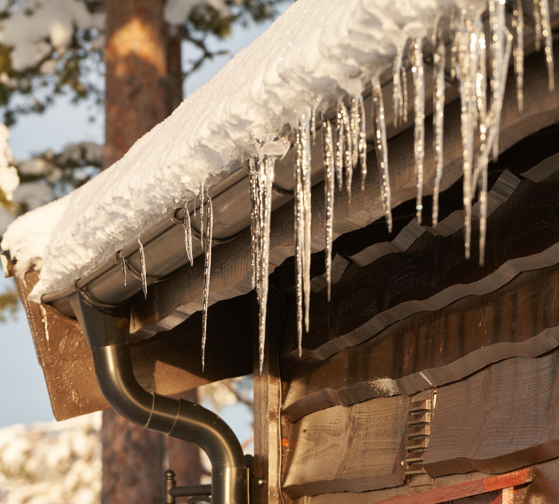 Snow-covered roof with a gutter and long icicles hanging down. Wooden building, outdoors.