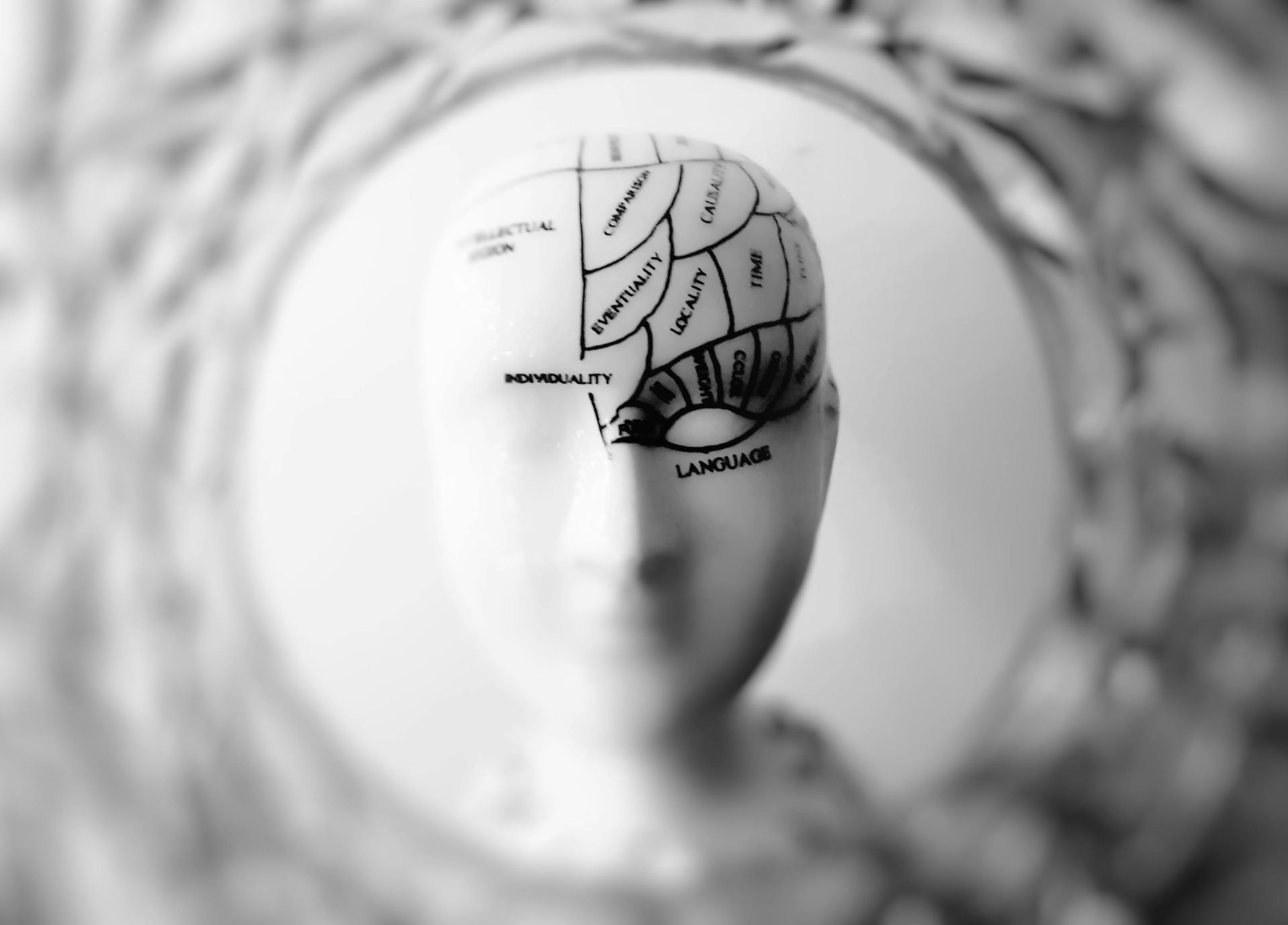 A black-and-white phrenology head model with labeled cranial sections, viewed through a circular, decorative frame.