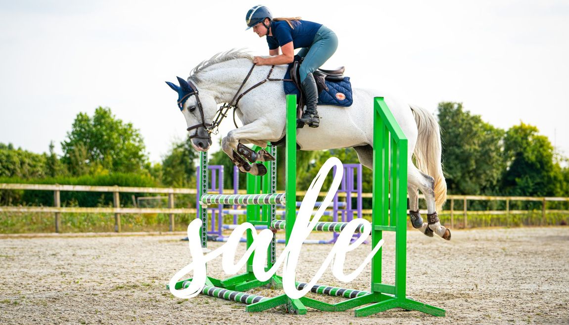 Sale paardenspullen, paardenartikelen, dekjes, dekens