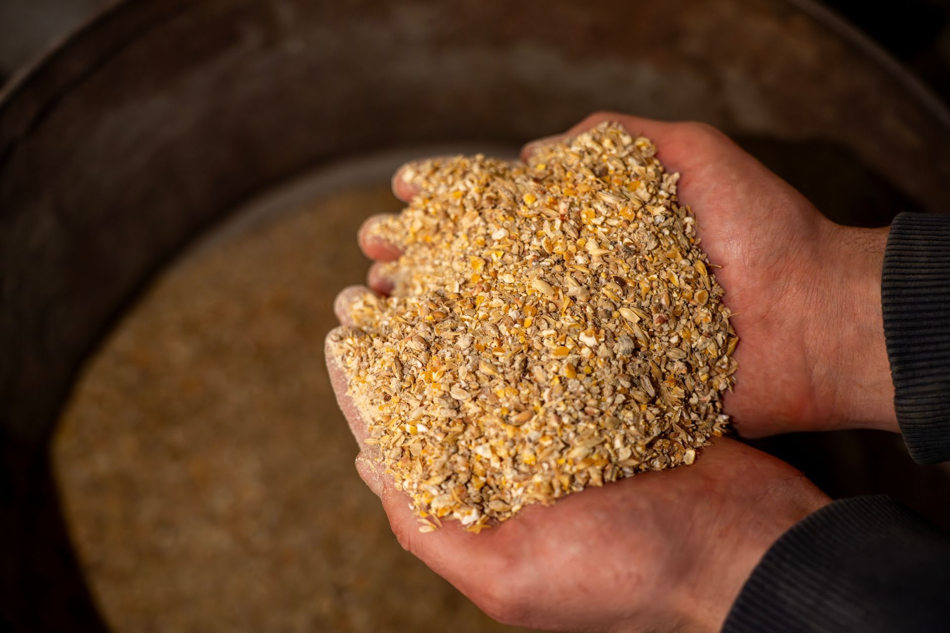 Hands holding a mound of grain or cracked corn over a large container.