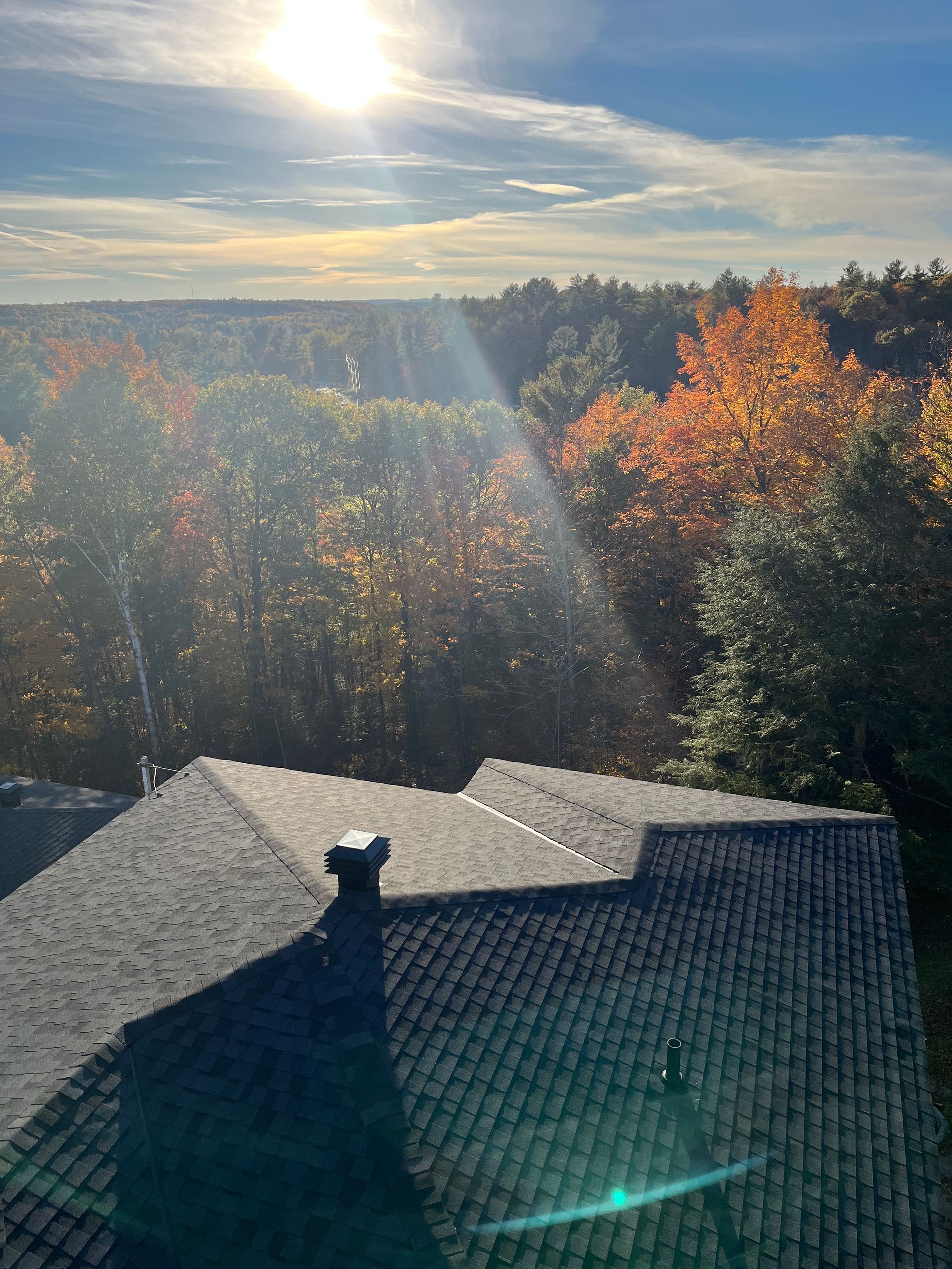 Une vue sur le toit d'une forêt avec le soleil qui brille à travers les arbres