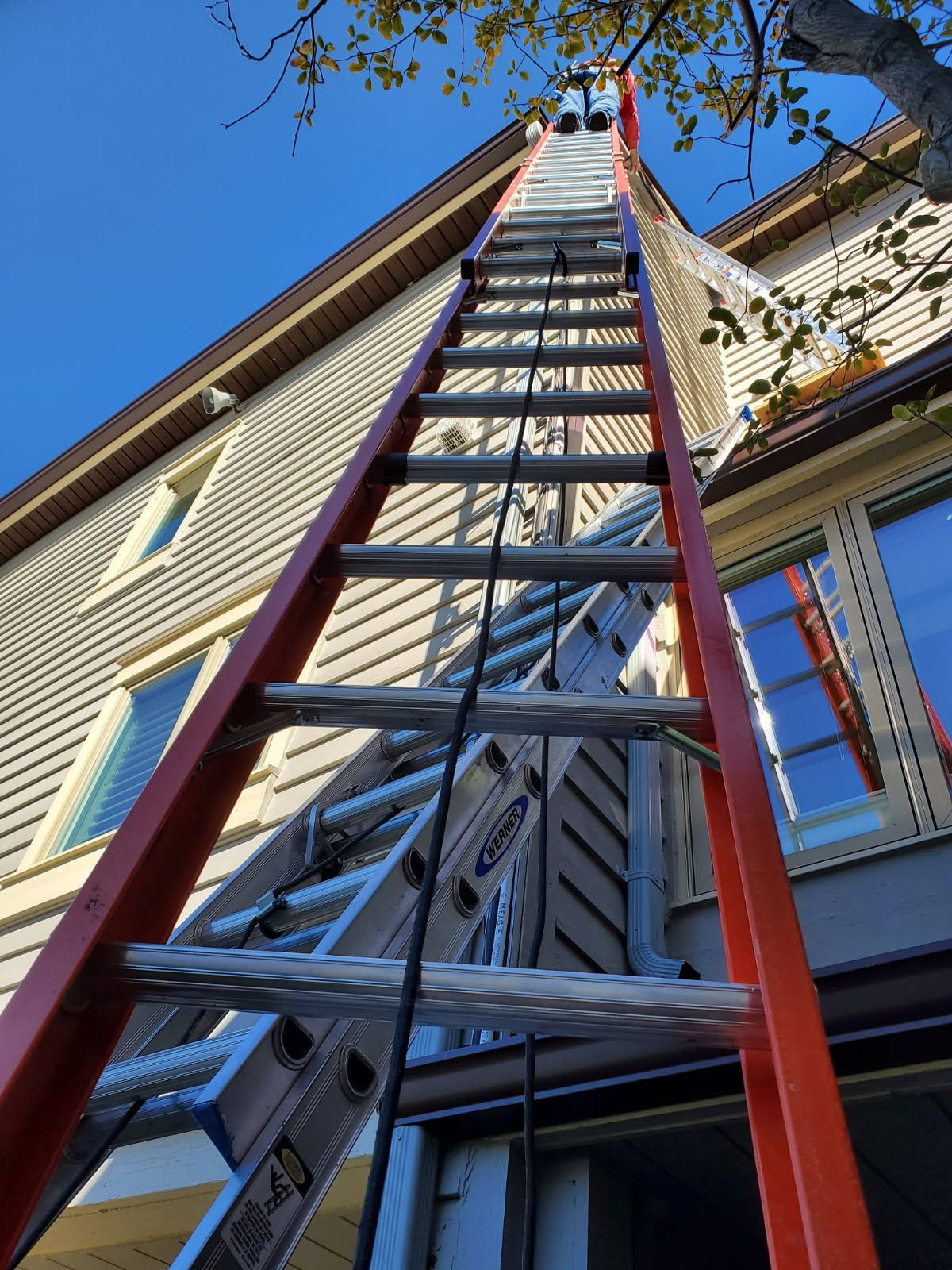 Tall red extension ladder leaning against a house under a blue sky with tree branches overhead