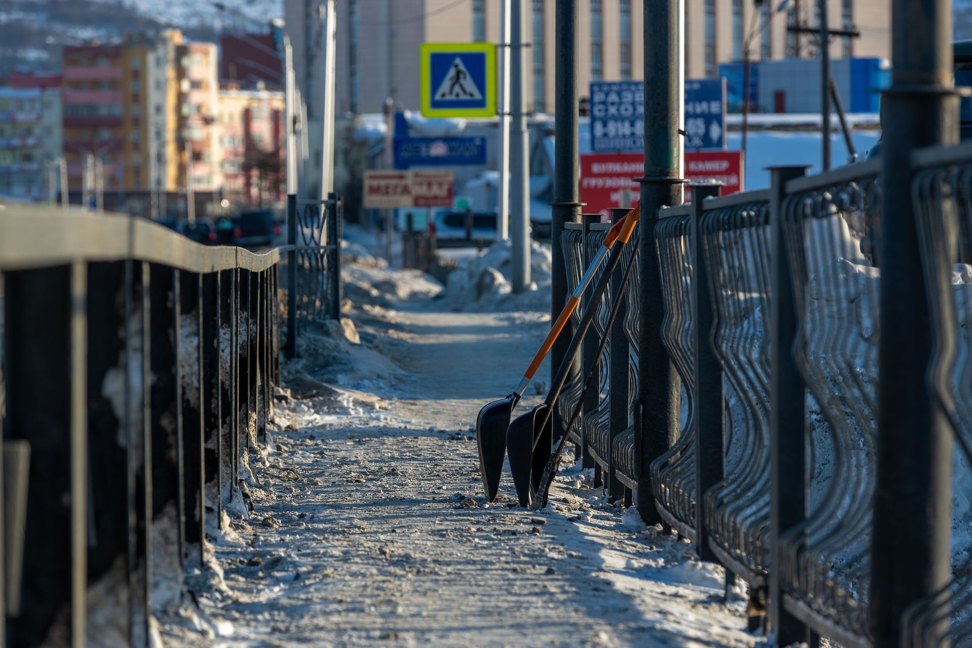 Snowy sidewalk beside a fence, with a black dog walking away toward a crosswalk sign.