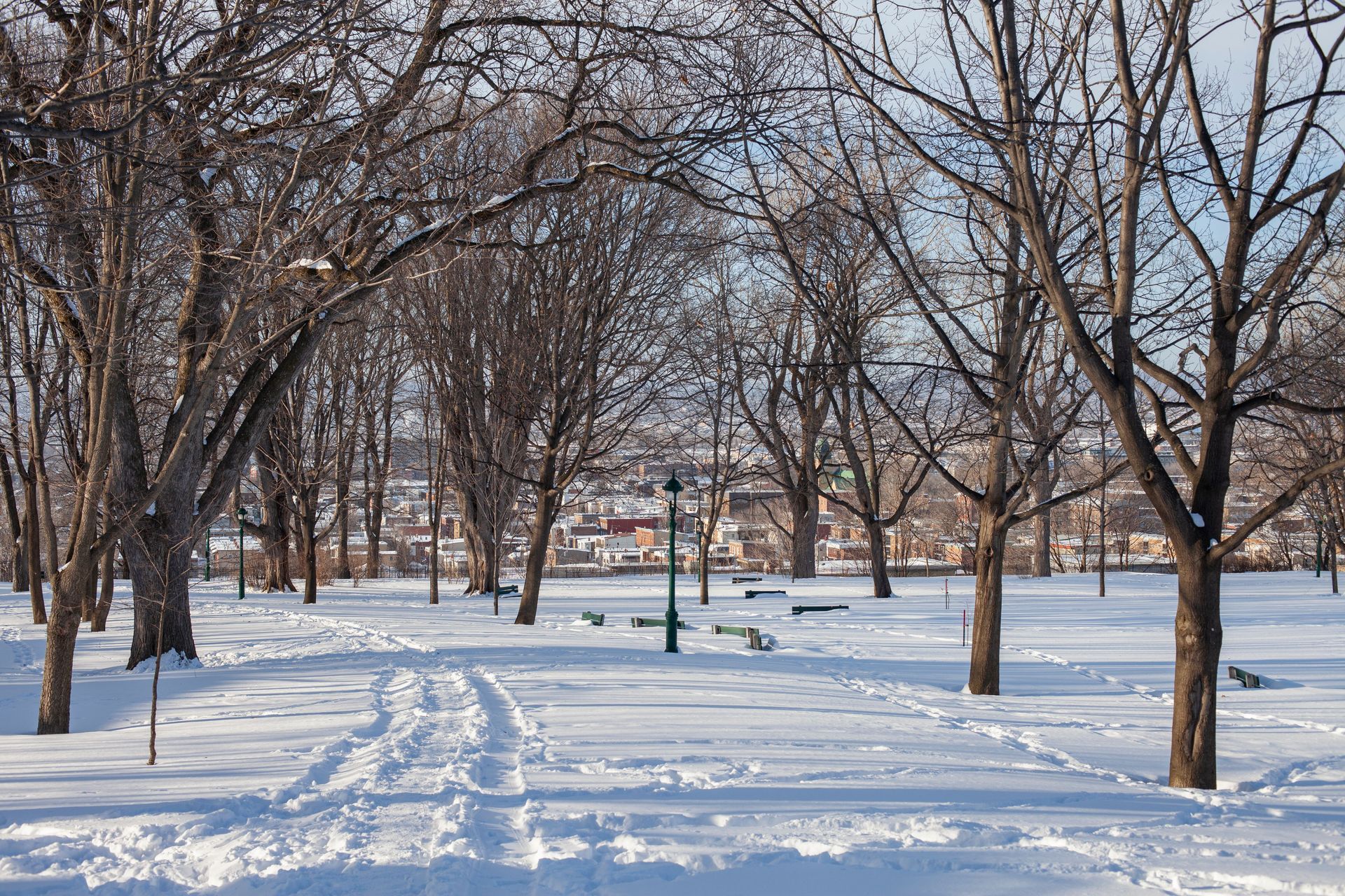 Snow-covered park with bare trees, footprints, and a bench under a clear winter sky