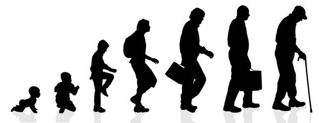 Life Cycle