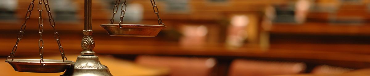 Litigation Support
