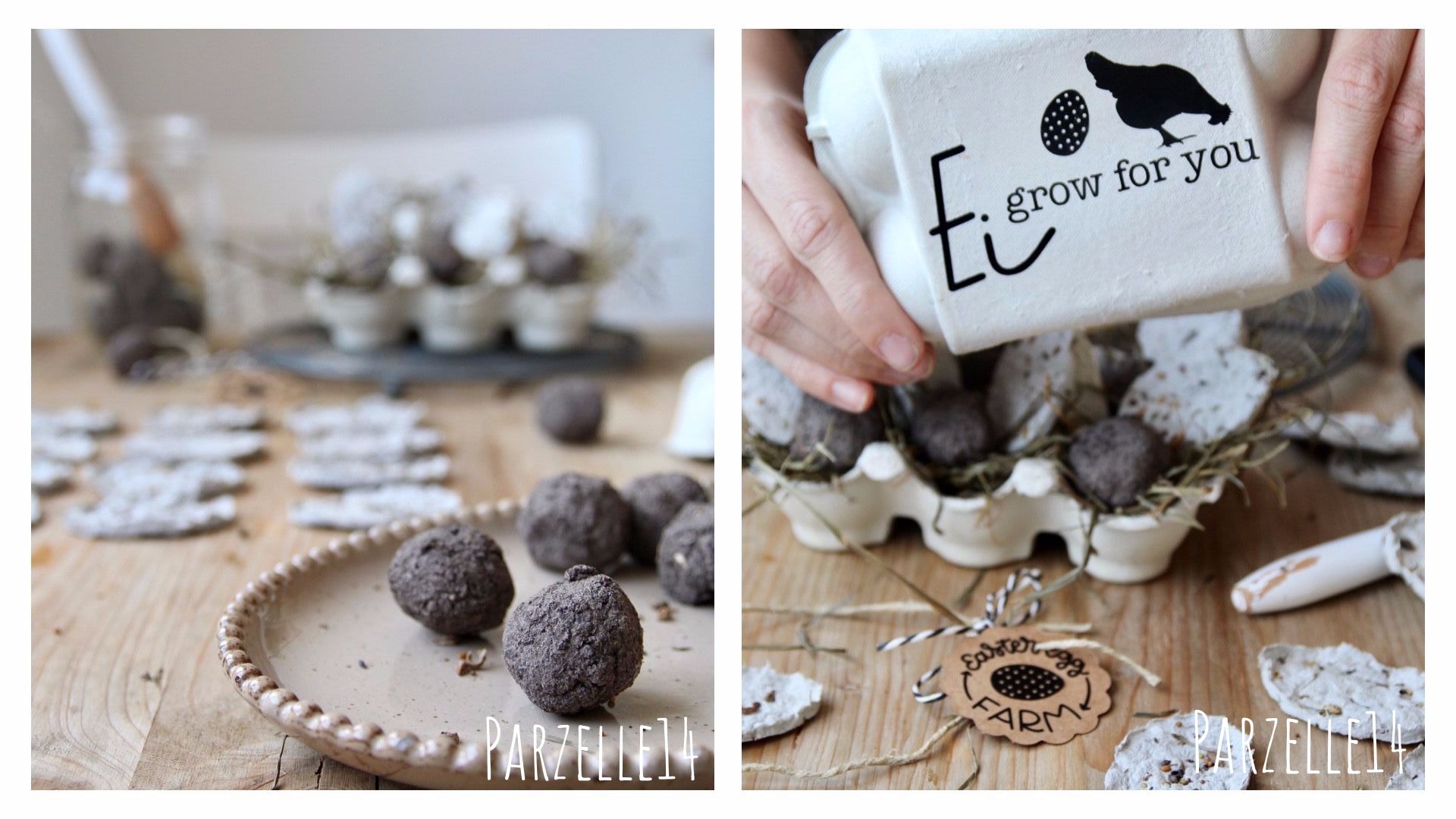 DIY-Samenbomben