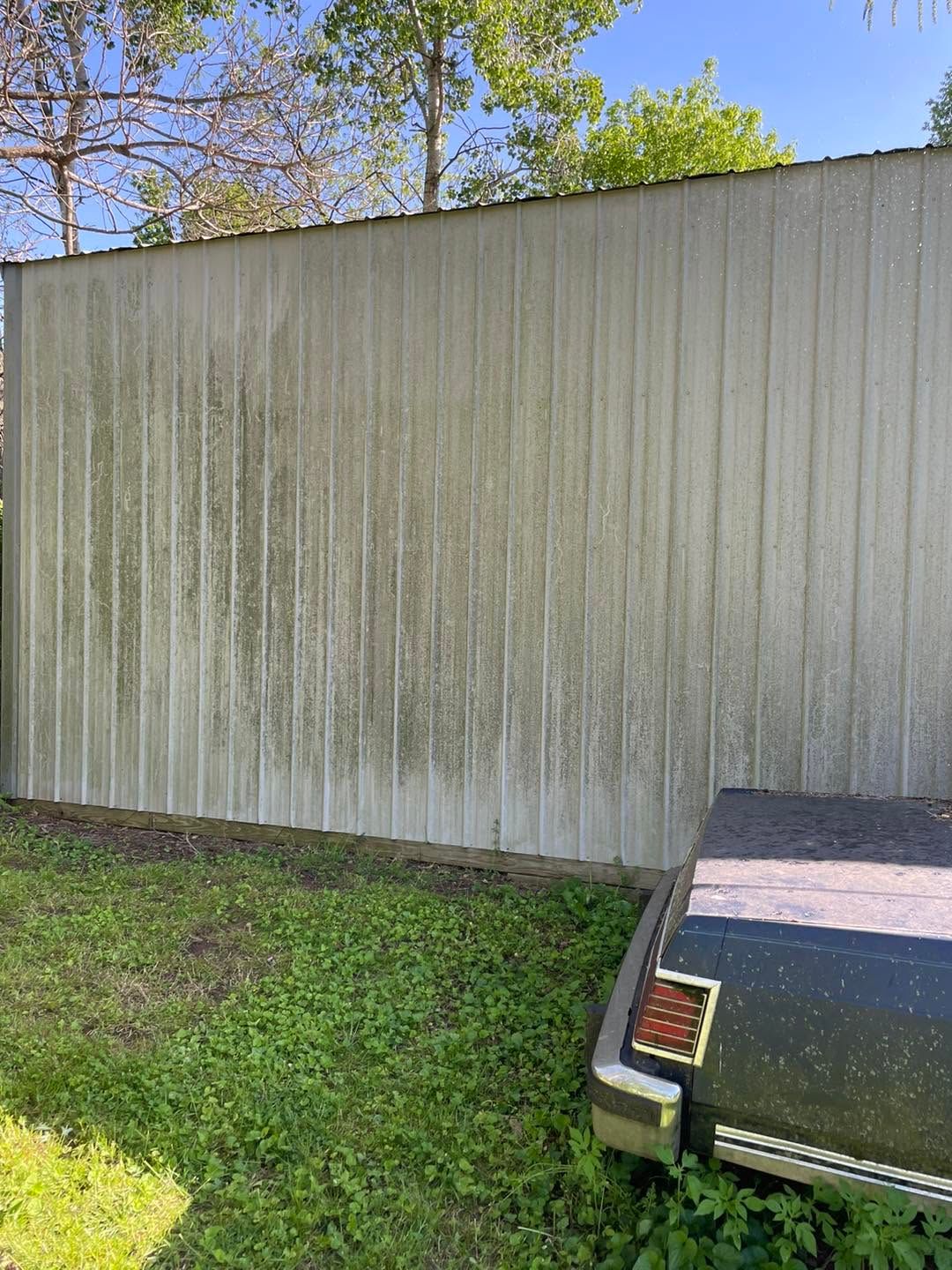 Tall white corrugated wall with tree shadows and a grassy yard in front; a small black object sits at lower right.
