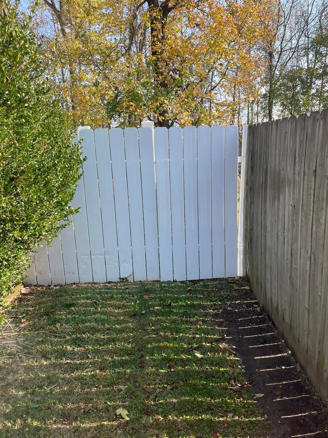 Backyard corner with white fence, wooden side fence, hedge, and patchy grass in sunlight