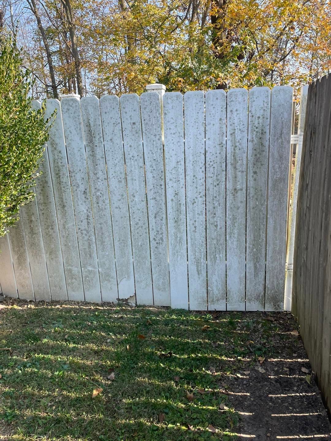White wooden fence in a backyard with grass and tree shadows
