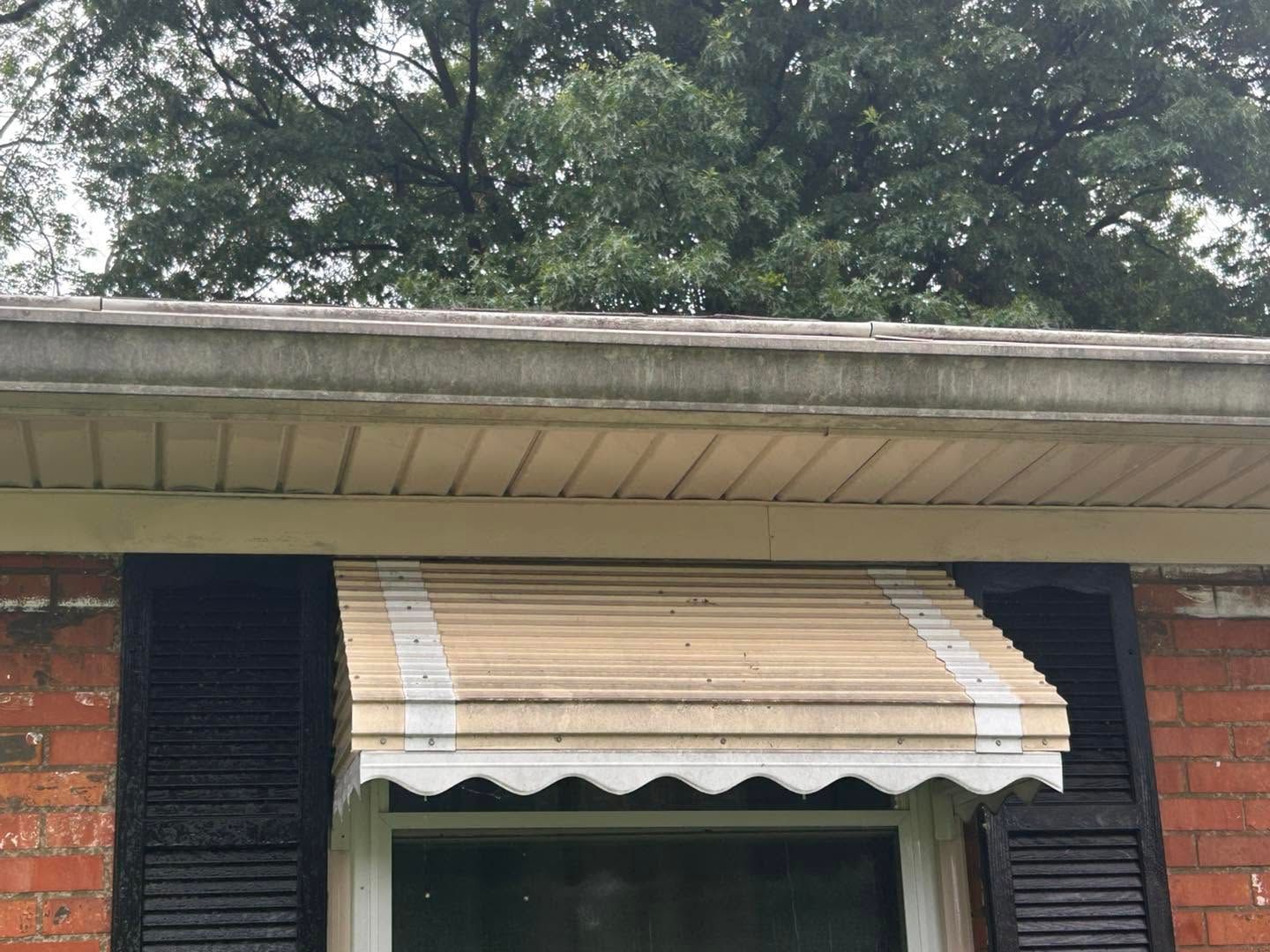 Beige striped awning over a window in a brick building with trees above