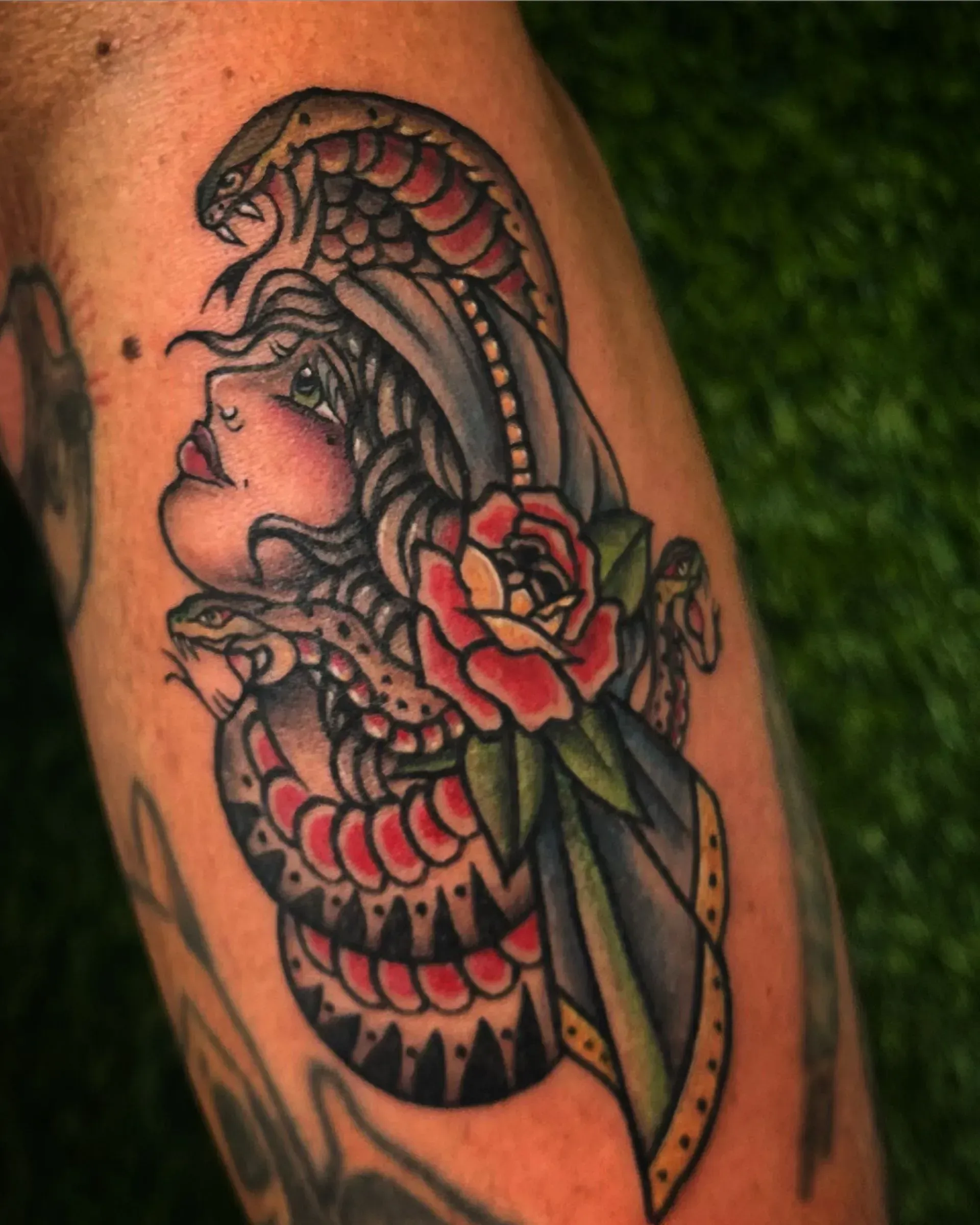 Colorful floral snake tattoo on an arm in black, red, and green ink