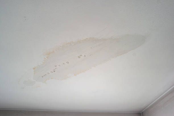 Water stain on a white ceiling. The stain is discolored and peeling, indicating water damage.