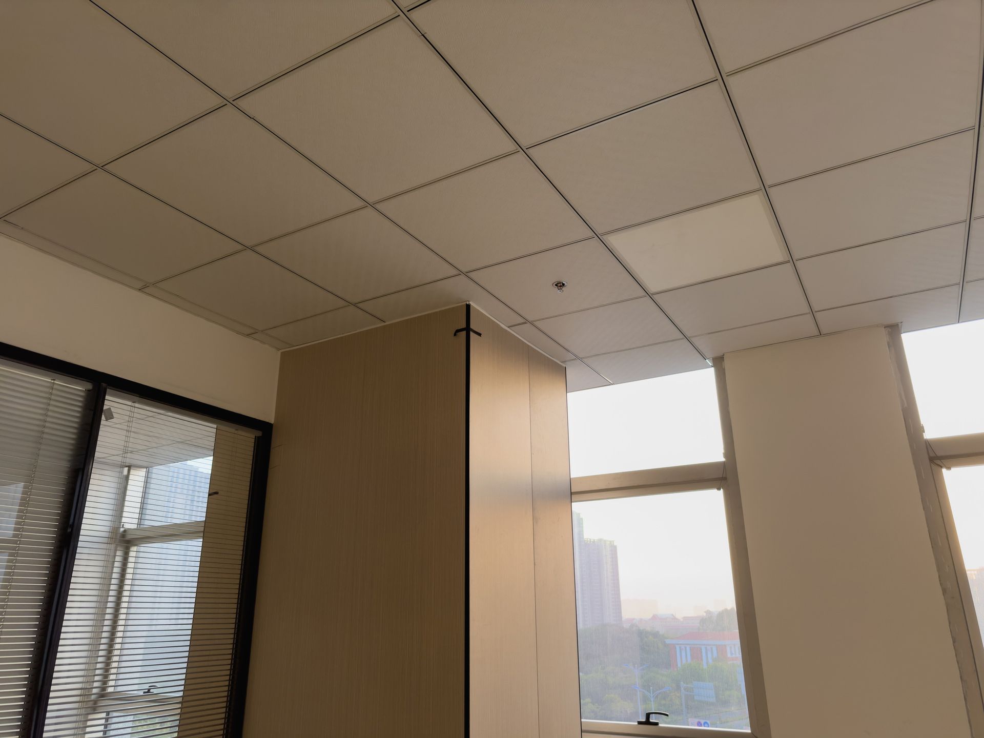 Office interior with beige walls, a modular ceiling, and large windows.