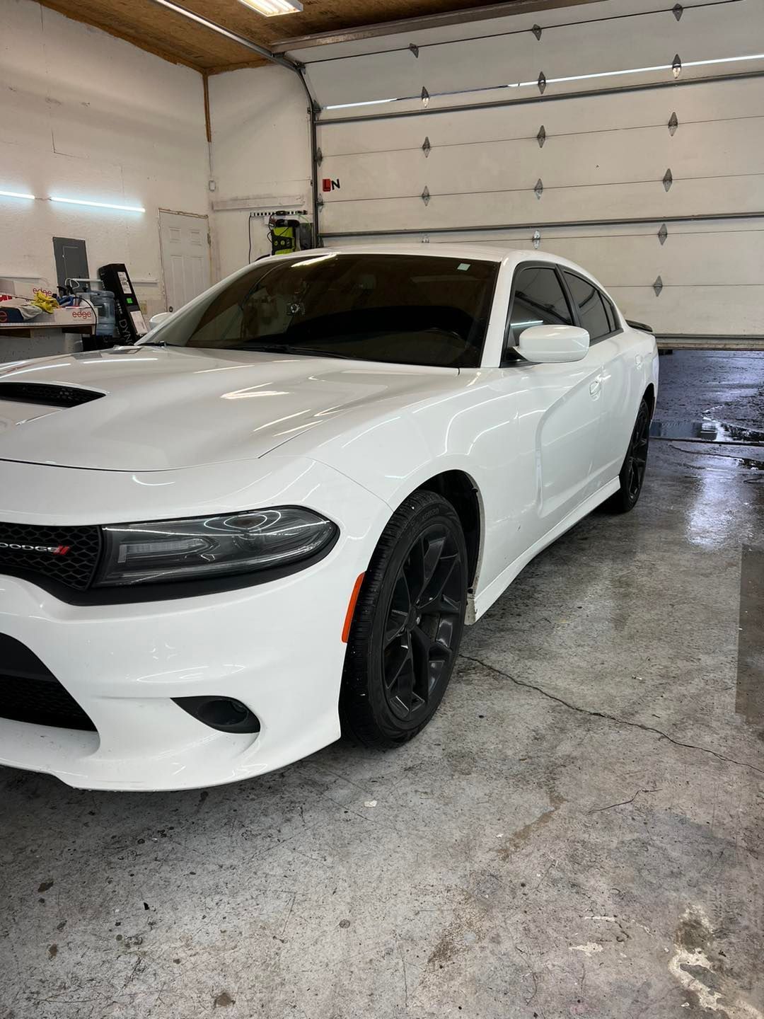 paint protection film installation