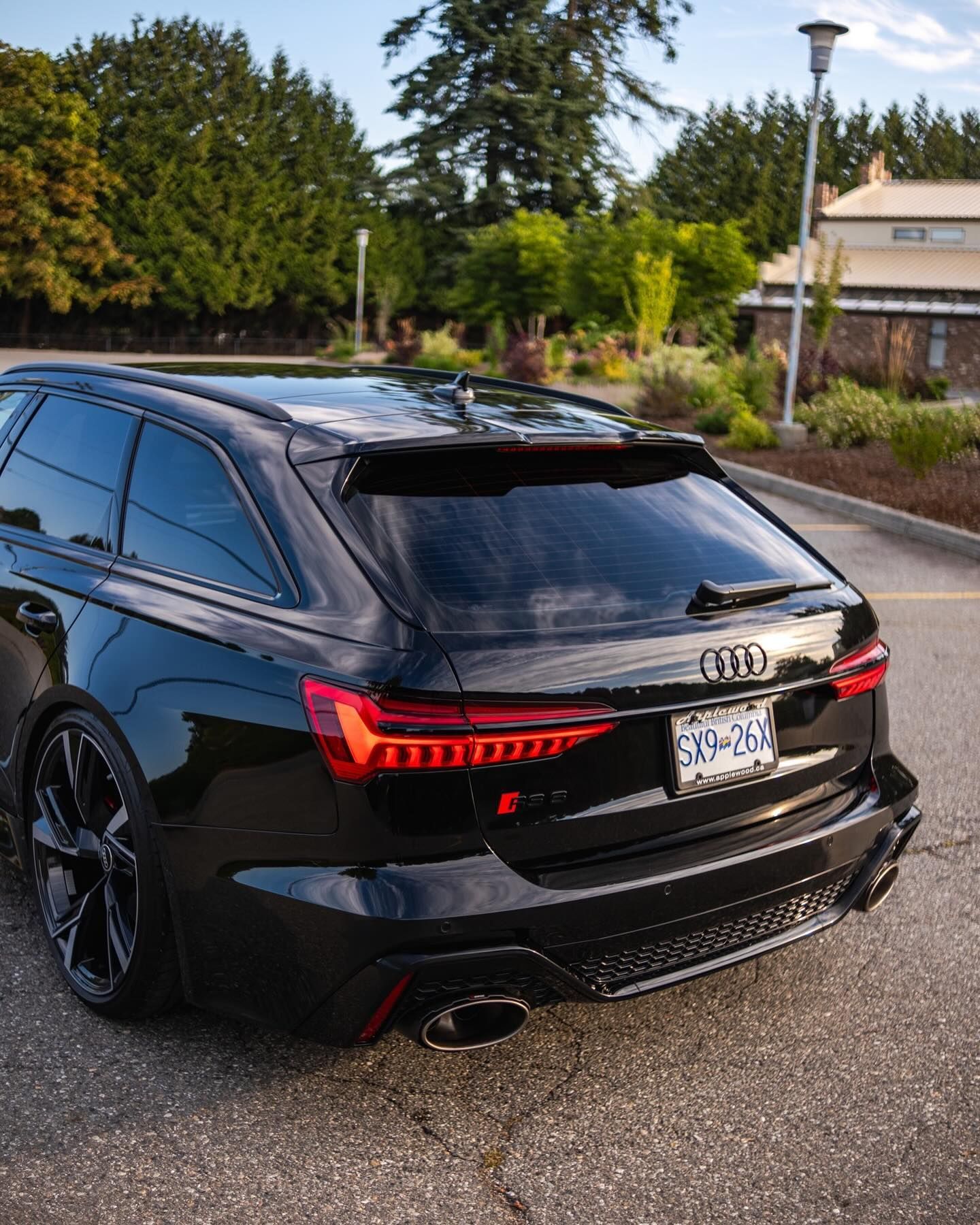 window tinted rear