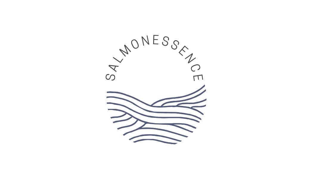 Logo Salmon Essence - portfolio pagina Start Boost