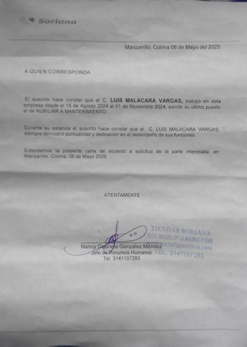 MANTENIMIENTO INMOBILIARIO MANZANILLO