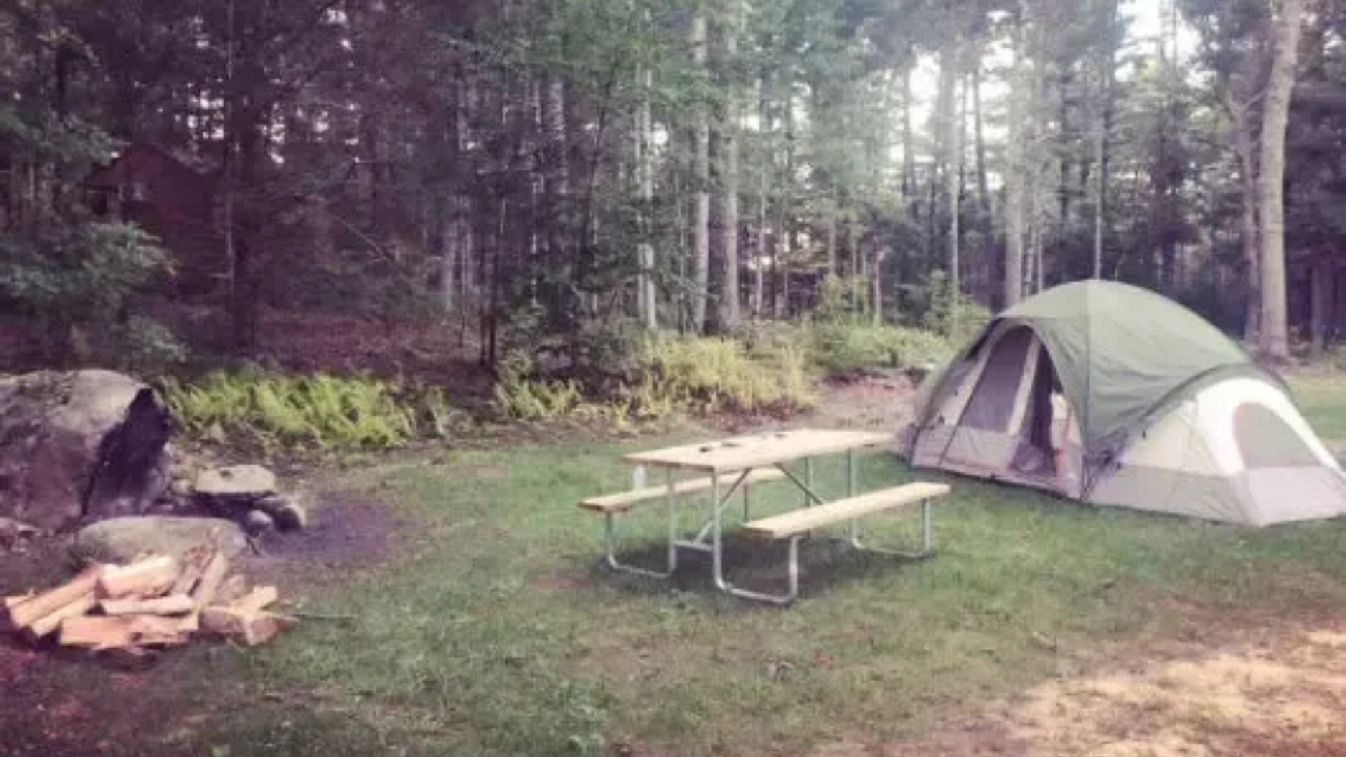 There is a tent and a picnic table in the middle of the woods.