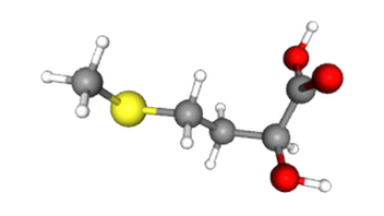 CAS 583-91-5. 2-Hydroxy-4-(Methylthio)Butanoic Acid.