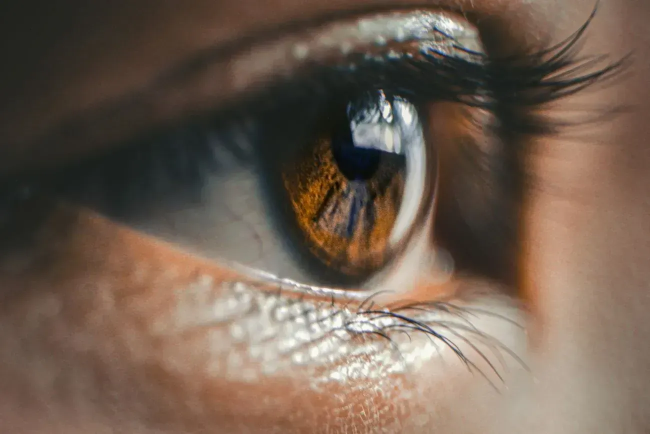 Close-up, side profile of a brown eye with defined lashes, capturing the reflection of light in the iris.