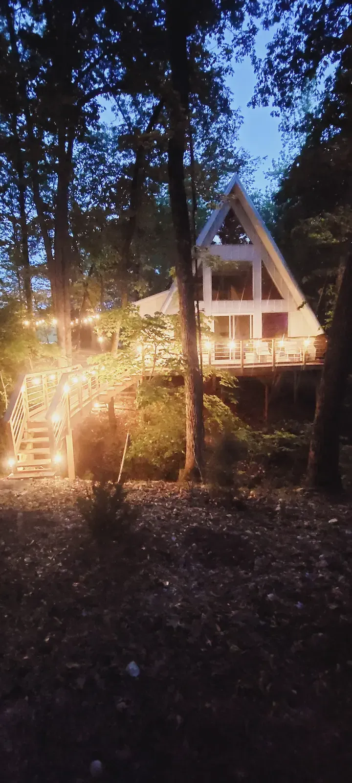 Dog Wood Tree Loft Rental